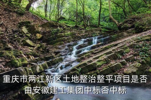 重慶市國土整治項目，重慶市嘉陵雙碑老廠區土地整治及房屋管網拆除工程中標單位