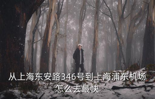 從上海東安路346號(hào)到上海浦東機(jī)場怎么去最快