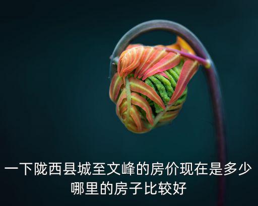一下隴西縣城至文峰的房?jī)r(jià)現(xiàn)在是多少哪里的房子比較好