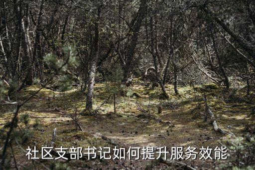 社區支部書記如何提升服務效能