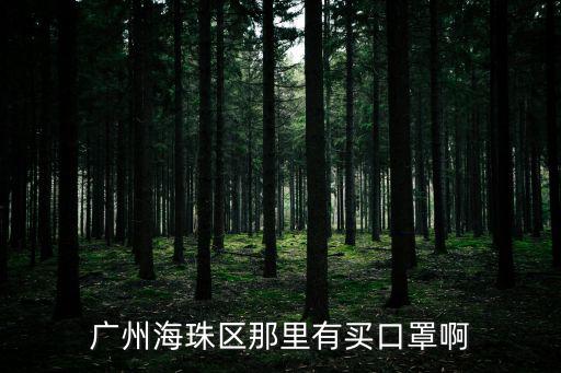 廣州海珠區那里有買口罩啊