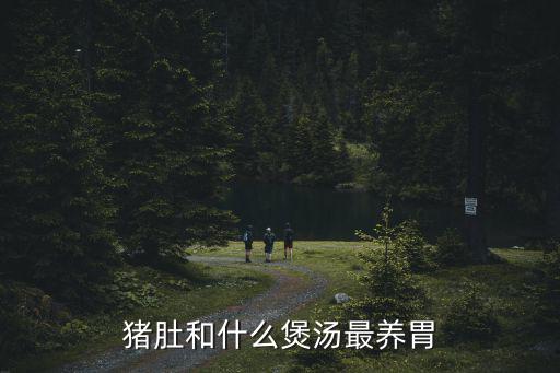 豬肚和什么煲湯最養(yǎng)胃