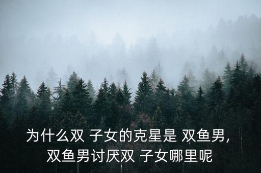 雙魚男雙子女,雙魚座男生欣賞雙魚女生對新事物的追求