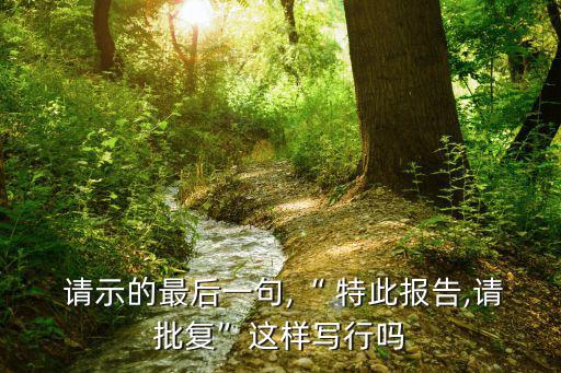 特此請(qǐng)示,當(dāng)否，請(qǐng)指示如無(wú)不妥請(qǐng)示轉(zhuǎn)發(fā)至等