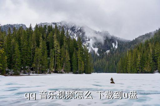  qq 音樂視頻怎么 下載到u盤