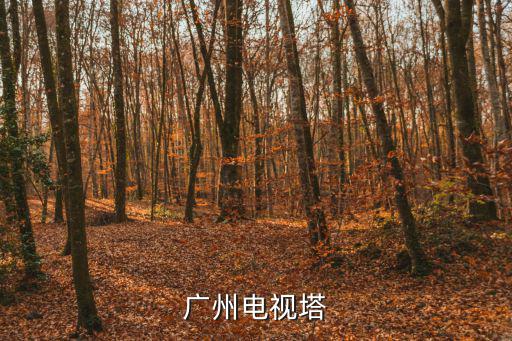 廣州電視塔