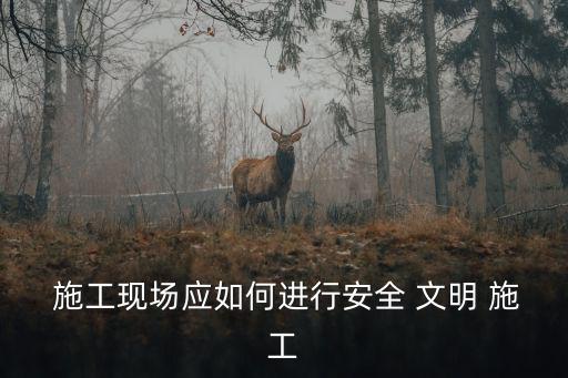  施工現場應如何進行安全 文明 施工
