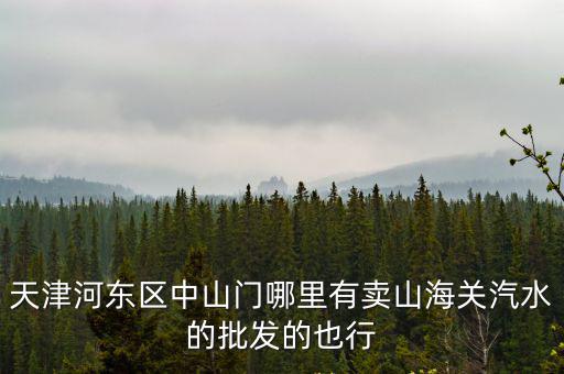 天津市飲料批發市場山海關，天津河東區中山門哪里有賣山海關汽水的批發的也行
