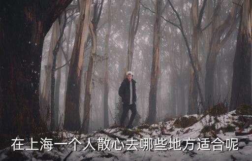 在上海一個人散心去哪些地方適合呢