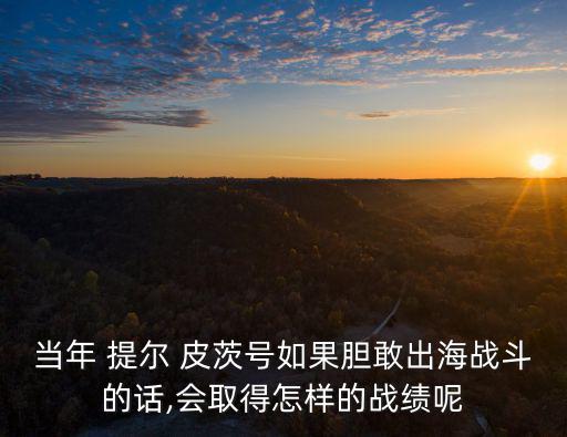 當年 提爾 皮茨號如果膽敢出海戰斗的話,會取得怎樣的戰績呢