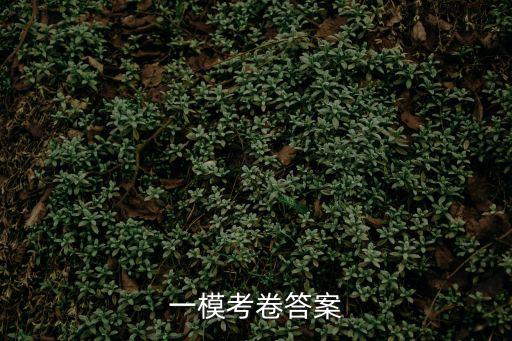2019年上海市虹口區高考一模卷答案，一模考卷答案