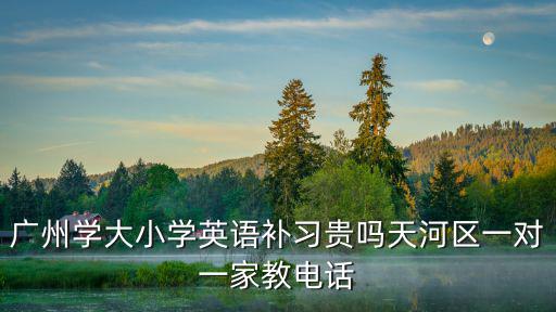 廣州學大小學英語補習貴嗎天河區一對一家教電話