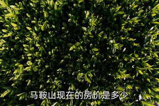 馬鞍山現(xiàn)在的房價(jià)是多少