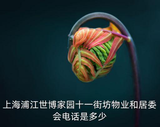 上海浦江世博家園十一街坊物業(yè)和居委會(huì)電話是多少