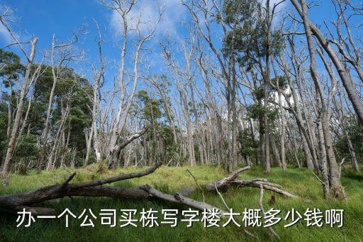 辦一個公司買棟寫字樓大概多少錢啊