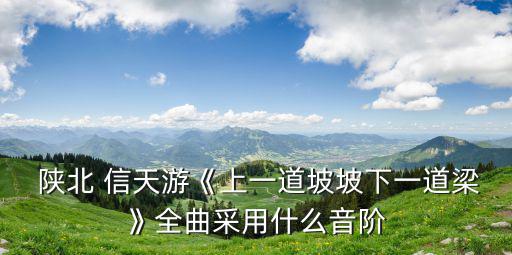  陜北 信天游《上一道坡坡下一道梁》全曲采用什么音階
