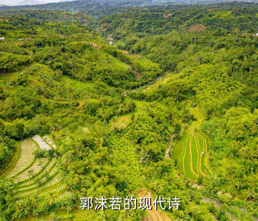  郭沫若的現代詩
