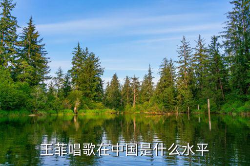 王菲唱歌在中國(guó)是什么水平