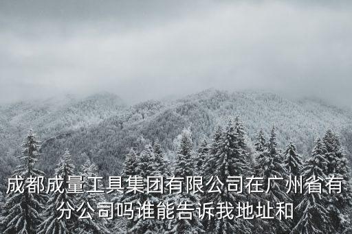成都成量工具集團有限公司在廣州省有分公司嗎誰能告訴我地址和