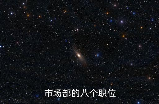  市場(chǎng)部的八個(gè)職位
