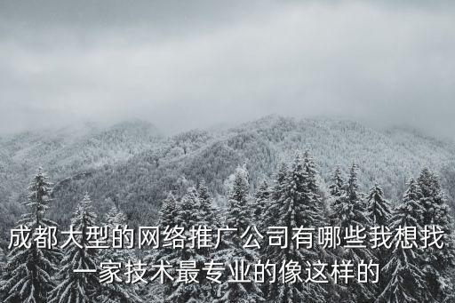 成都大型的網(wǎng)絡(luò)推廣公司有哪些我想找一家技術(shù)最專業(yè)的像這樣的