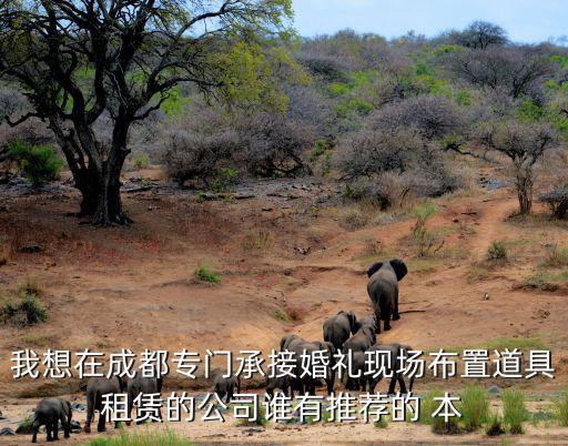 我想在成都專門承接婚禮現(xiàn)場(chǎng)布置道具租賃的公司誰(shuí)有推薦的 本