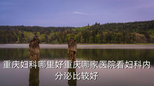 重慶市醫學會內分泌專委會，重慶內分泌如何改善內分泌