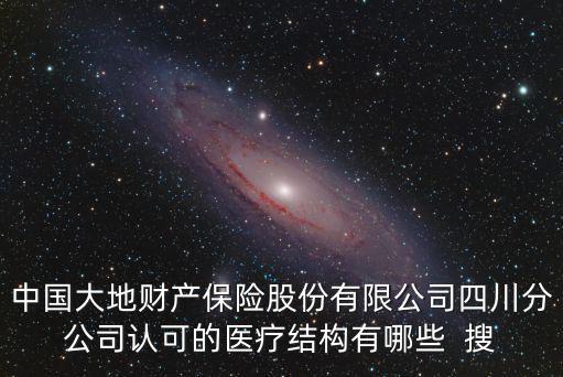 中國大地財產保險股份有限公司四川分公司認可的醫療結構有哪些  搜