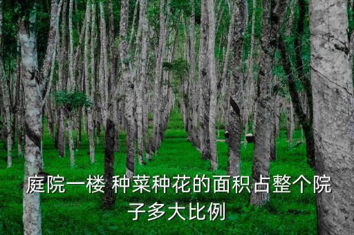 庭院種菜,庭院菜地大小取決于個人庭院設計師提供方案
