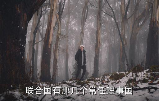 聯合國有那幾個常任理事國