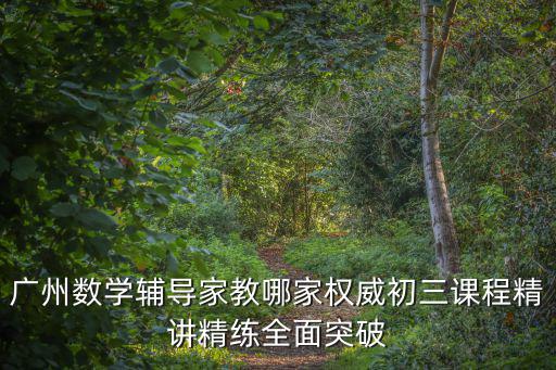 廣州數(shù)學(xué)輔導(dǎo)家教哪家權(quán)威初三課程精講精練全面突破