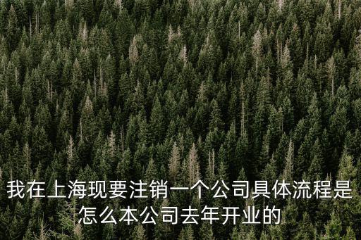 我在上海現(xiàn)要注銷一個公司具體流程是怎么本公司去年開業(yè)的