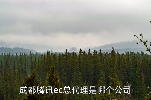 成都市壹茗信風科技，四川成都市人民南路2段南府街53號川投集團大廈6樓601是什么公司