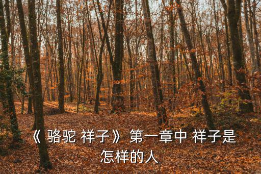 駱駝祥子第一章,失去土地的中學(xué)祥子成北平城里一名普通司機(jī)