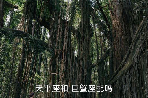 天平座和 巨蟹座配嗎