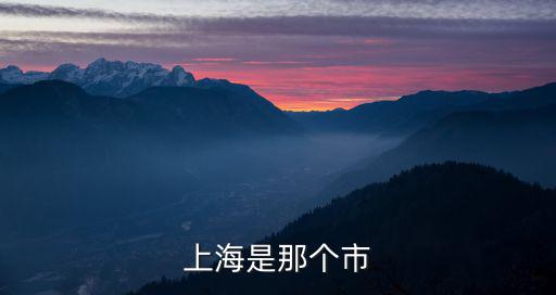 上海是那個(gè)市