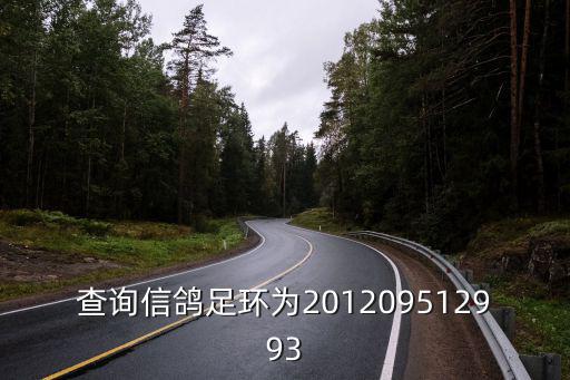 上海市信鴿協會正巖杯，查詢信鴿足環為201209512993