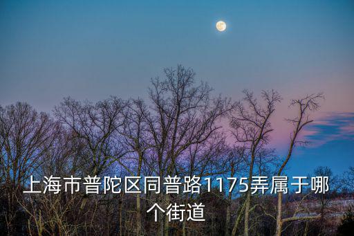 上海市普陀區同普路1175弄屬于哪個街道