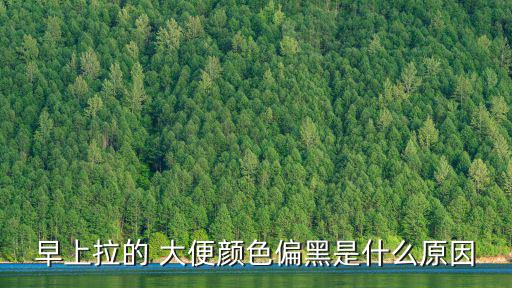早上拉的 大便顏色偏黑是什么原因