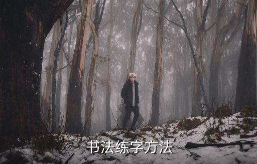 怎樣練書法,從字體骨氣和氣勢(shì)看練一家的做法