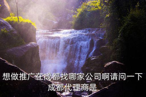 成都市萬詞推廣報價，想做推廣在成都找哪家公司啊請問一下成都代理商是