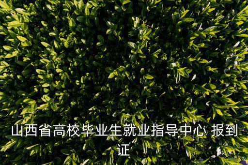 山西省高校畢業(yè)生就業(yè)指導(dǎo)中心 報到證