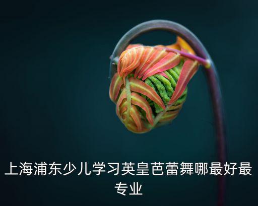 上海浦東少兒學習英皇芭蕾舞哪最好最專業