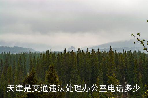 天津是交通違法處理辦公室電話多少