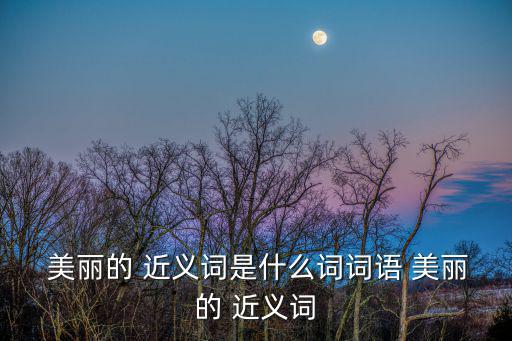  美麗的 近義詞是什么詞詞語 美麗的 近義詞