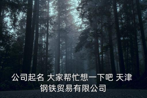 公司起名 大家?guī)兔ο胍幌掳?天津 鋼鐵貿(mào)易有限公司