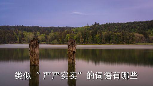嚴嚴實實造句,第一卷:嚴嚴實實:不留空隙不留退路