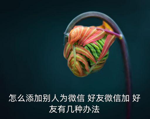 怎么加微信好友,添加好友需先保存手機號碼和個人資料