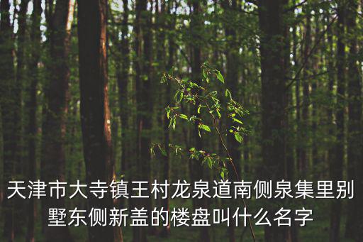 天津市大寺鎮(zhèn)王村龍泉道南側泉集里別墅東側新蓋的樓盤叫什么名字