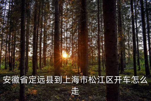 安徽省定遠縣到上海市松江區開車怎么走